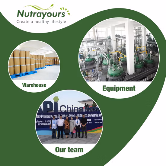 Hierbas chinas Dang Gui Angelicae Sinensis Radix Hierbas crudas en Angélica china