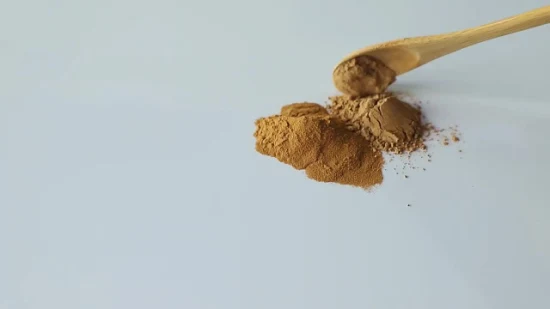 Extracto de planta de hongo melena de león orgánico Hericium Erinaceus Reishi Cordyceps Militaris polvo de hierbas de hongo